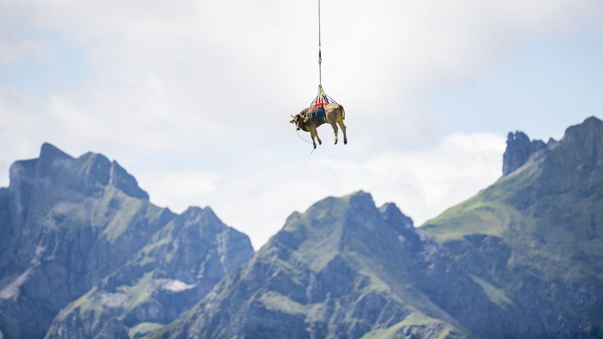 Fotky: Tyrolské horské pastviny ohrožují změny klimatu